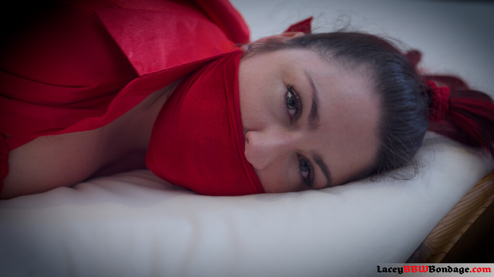 Lacey - Secretary Tied